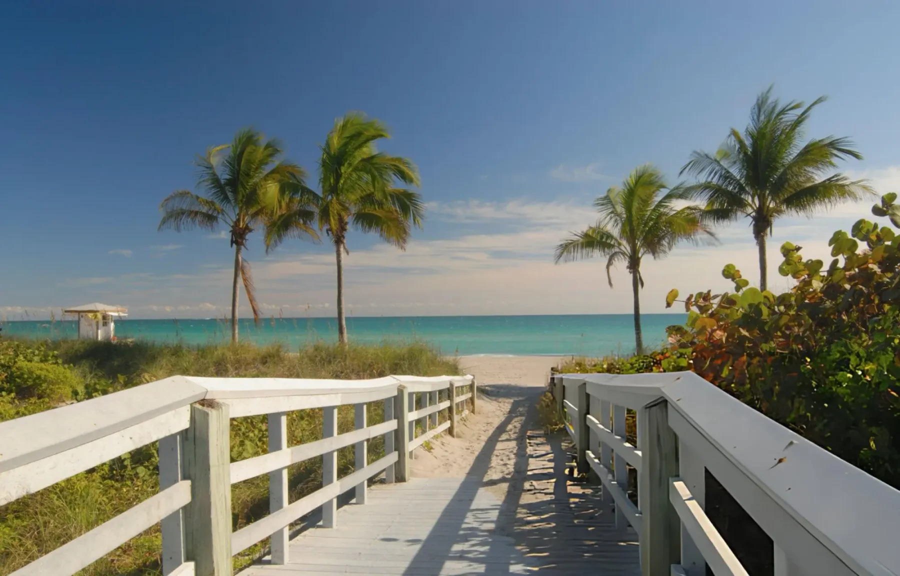 Palm Beach